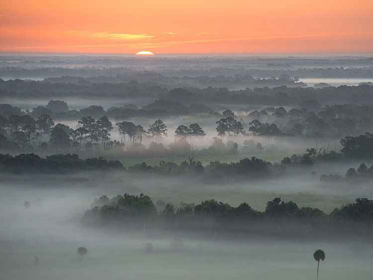 land-conserv_20869 Land Conservation Sunrise with Mist