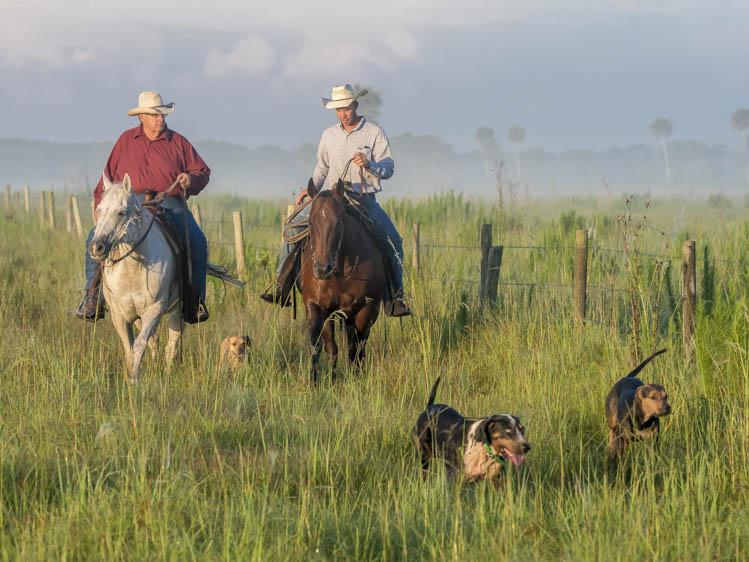 advo-pic-small-CWard2016-22283 Florida Conservation Cowboys and dogs