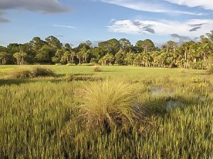 Land Conservation Field