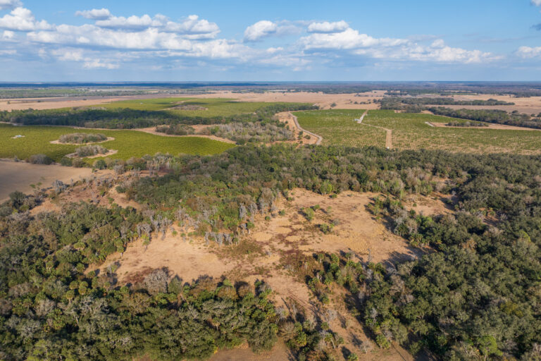 Protecting the Peace River Watershed is a Race Against Time