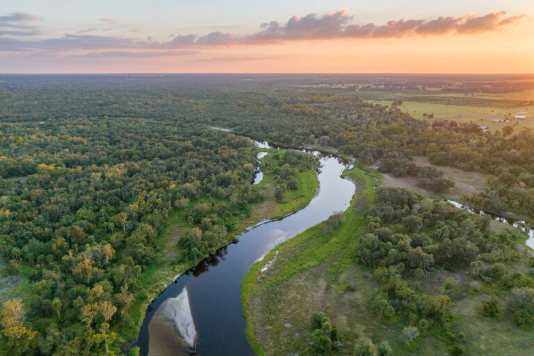 AM River Ranch: Protecting the Peace River