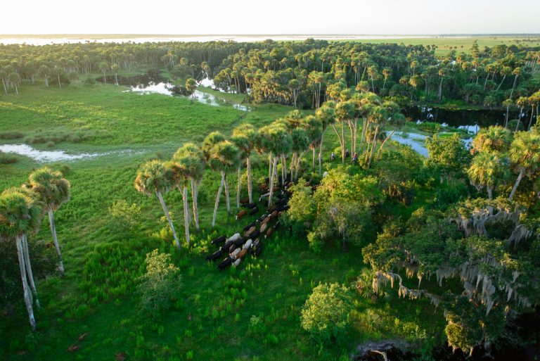 Florida Ranchlands: Protecting Our Watersheds