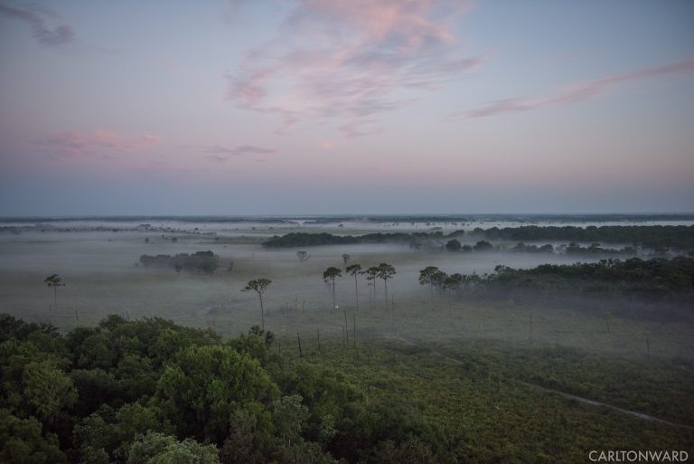 NRCS Agricultural Land Easement Program (ALE)