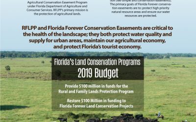 Florida Forever and Rural and Family Lands Protection Program