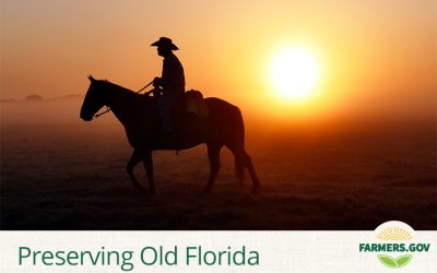 Preserving Old Florida