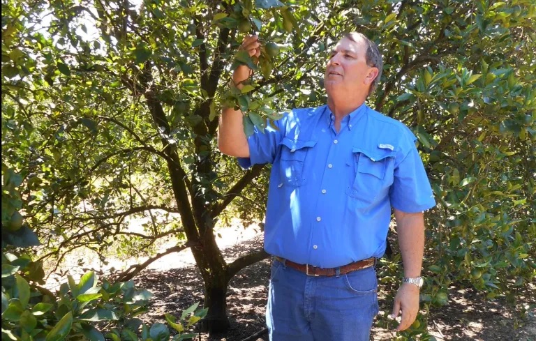 Fifth-Generation Citrus Grower Advocates for Protecting Agricultural Land in the Peace River Valley