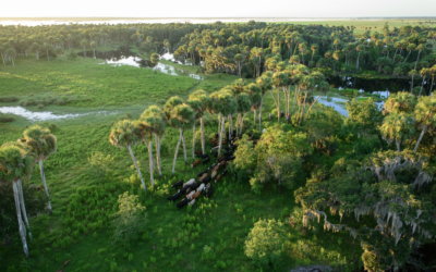 Proposed Everglades to Gulf Conservation Area: Protecting the Working Landscapes of Southwest Florida