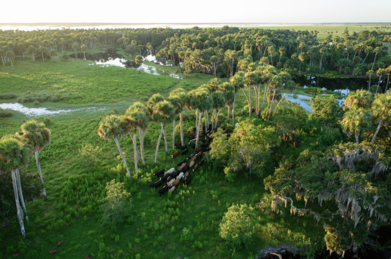 Proposed Everglades to Gulf Conservation Area: Protecting the Working Landscapes of Southwest Florida
