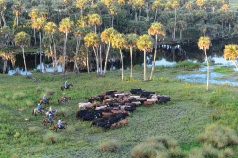 NRCS Conservation Easement Programs Update: 1/25/2019