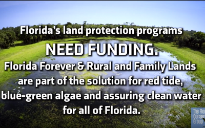 Watch Video   |    Florida’s Land Conservation Programs