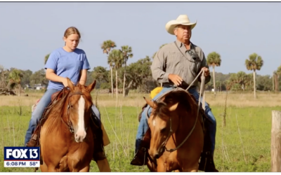 FOXX 13-Tampa Bay | Hundreds of Florida ranchers push for conservation easements to prevent climate change