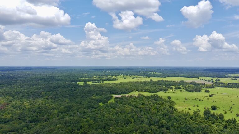 Conserving the Ludwig Property Protects Florida’s Water and Wildlife