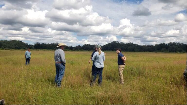 Florida Ranchlands: Conserving  Water and Wildlife