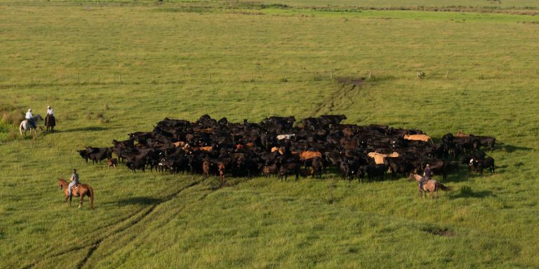 Conservation Easement on Corona Ranch Approved by Governor and Cabinet