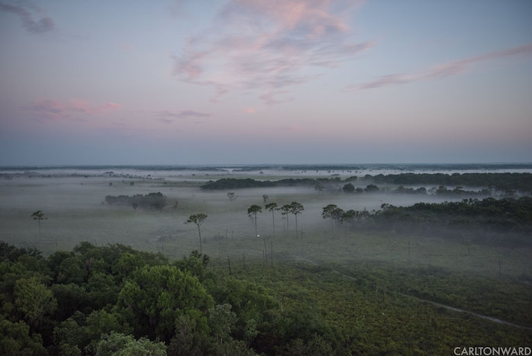 Florida’s Conservation Programs