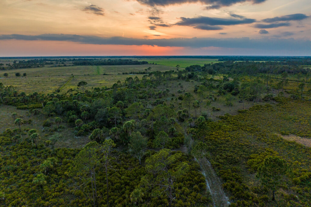 Our Work – Florida Conservation Group