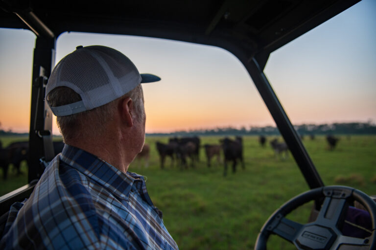 Florida Conservation Group: Working with Ranchers on Grazing Lands Management