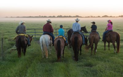 Ranchers vs Environmentalists” is a longstanding trope. But in the Sunshine State, ranching just may be the last, best hope for ecological salvation