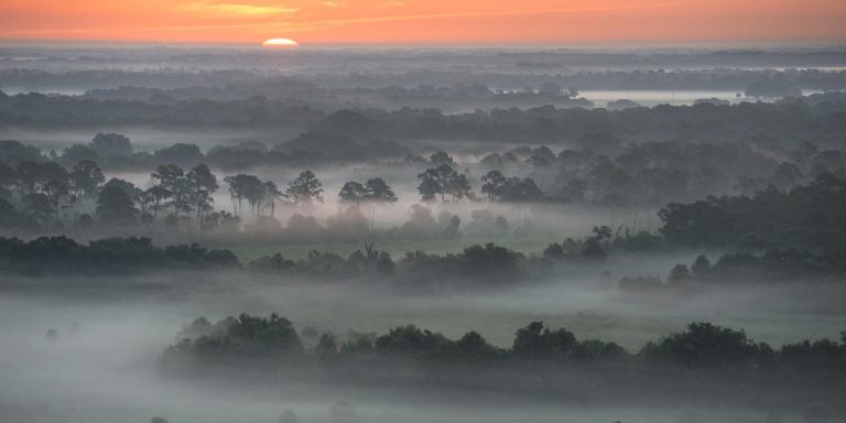 Ranchlands in southern Florida: A Low-Intensity Land Use.