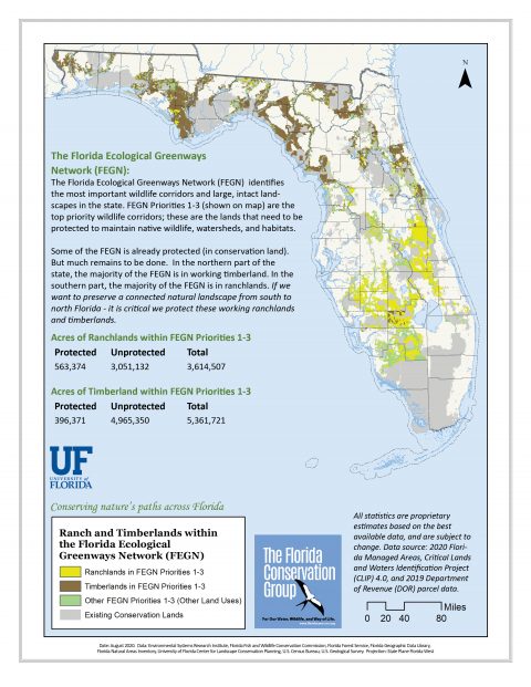 Conservation Science | Florida Conservation Group