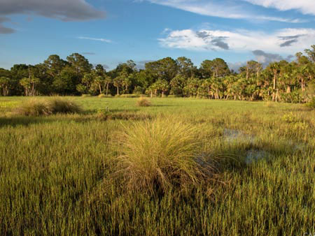 Land Conservation Funding Rural and Family Lands Protection Program (RFLPP)